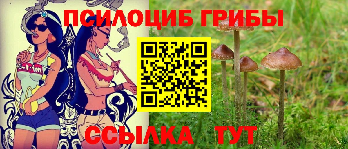 Карталы  Галлюциногенные грибы GOLDEN TEACHER  Галлюциногенные грибы мухоморы  Вход с VPN 