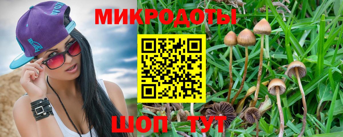 Галлюциногенные грибы GOLDEN TEACHER Карталы
